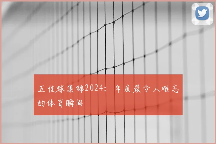 五佳球集锦2024：年度最令人难忘的体育瞬间