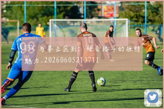 UFC 与拳击区别:综合格斗的独特魅力_20260605213711